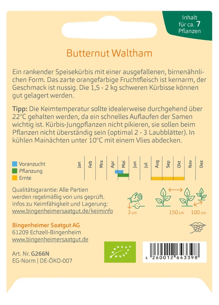 BIO Saatgut Kürbis Butternut Waltham