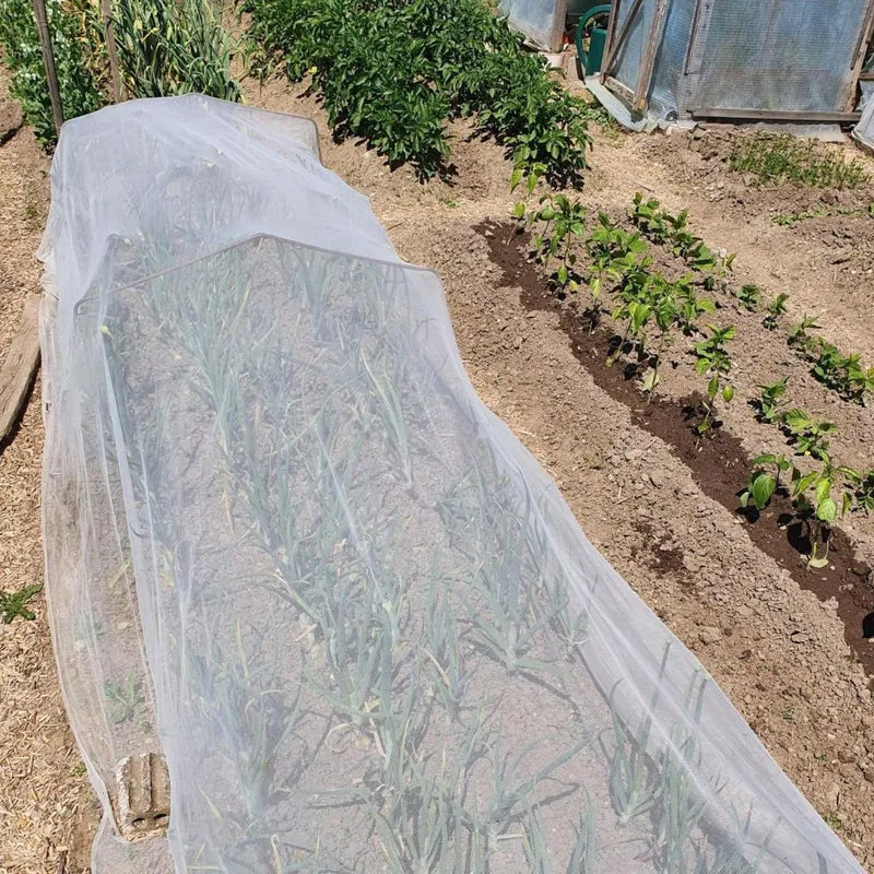 Kulturschutznetz 5 x 2.1 m biologisch abbaubar