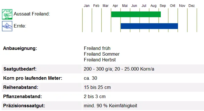 BIO Saatgut Radies Rudi