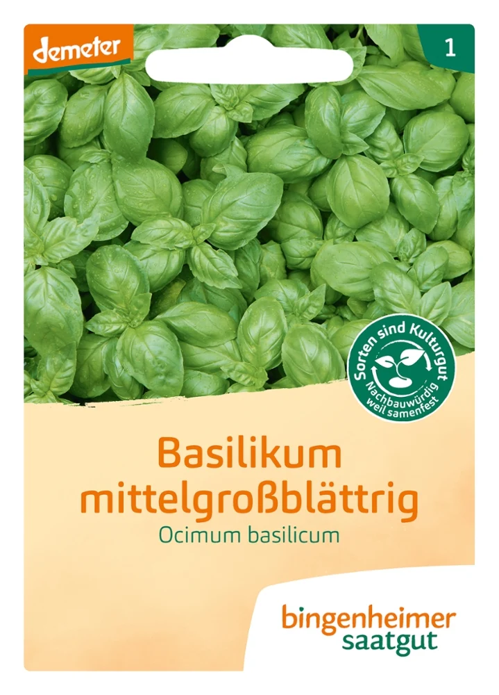 BIO Saatgut Basilikum mittelgroßblättrig