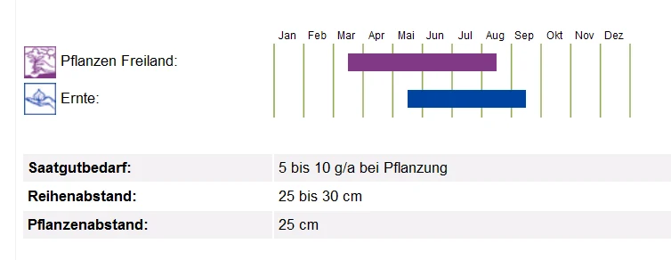 BIO Saatgut Pflücksalat Lollo Bionda