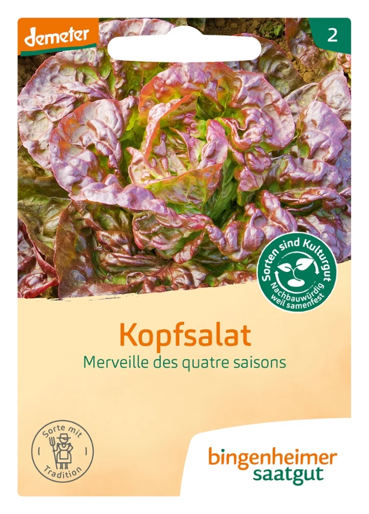 BIO Saatgut Kopfsalat Merveille des quatre saisons