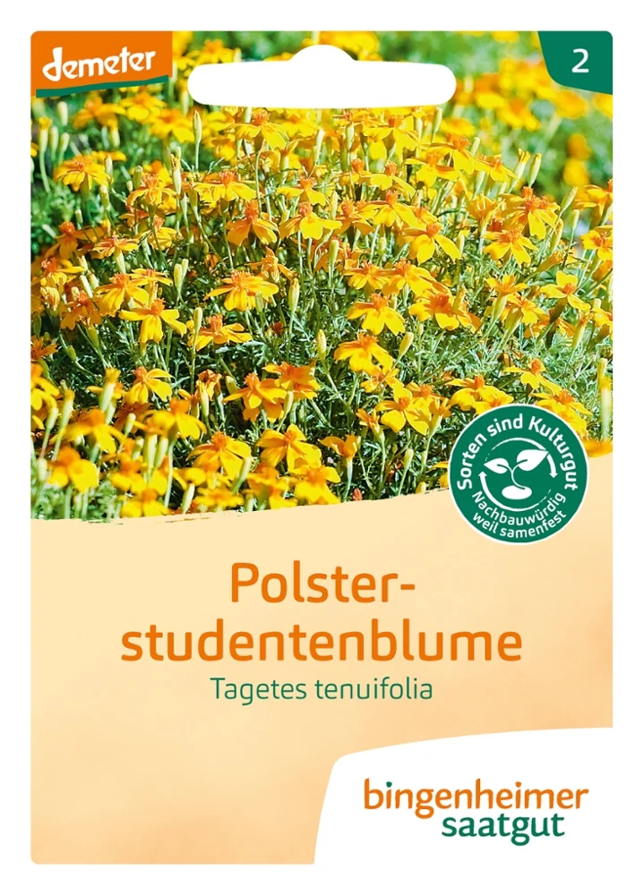 BIO Saatgut Polsterstudentenblume