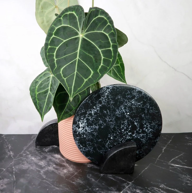 ANTHURIUM CLARINERVIUM