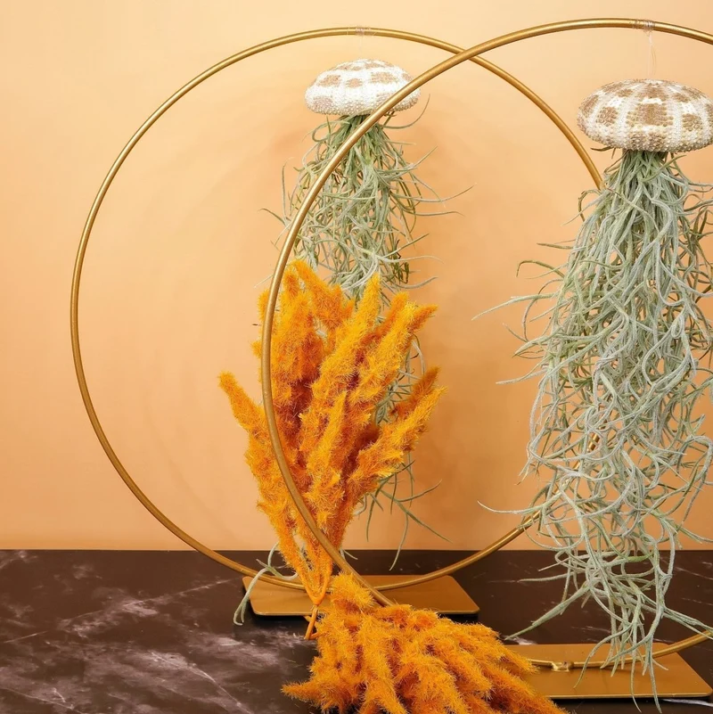 TILLANDSIA USNEOIDES - PANTHER