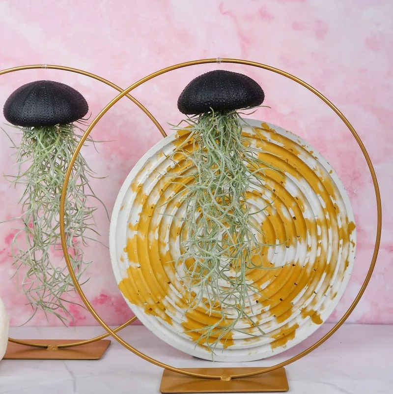 TILLANDSIA USNEOIDES - BLACK