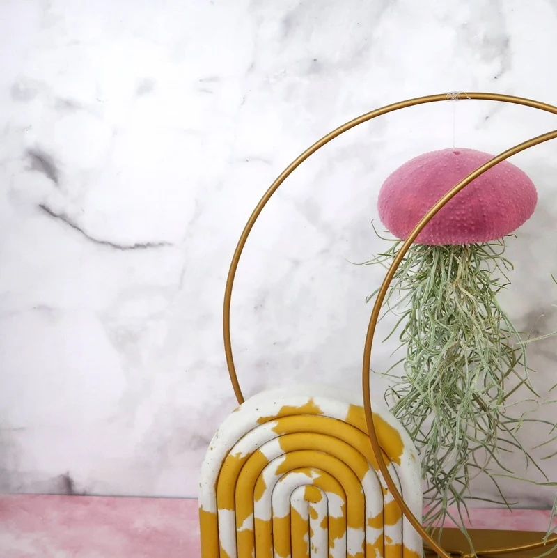 TILLANDSIA USNEOIDES - VELVET PURPLE