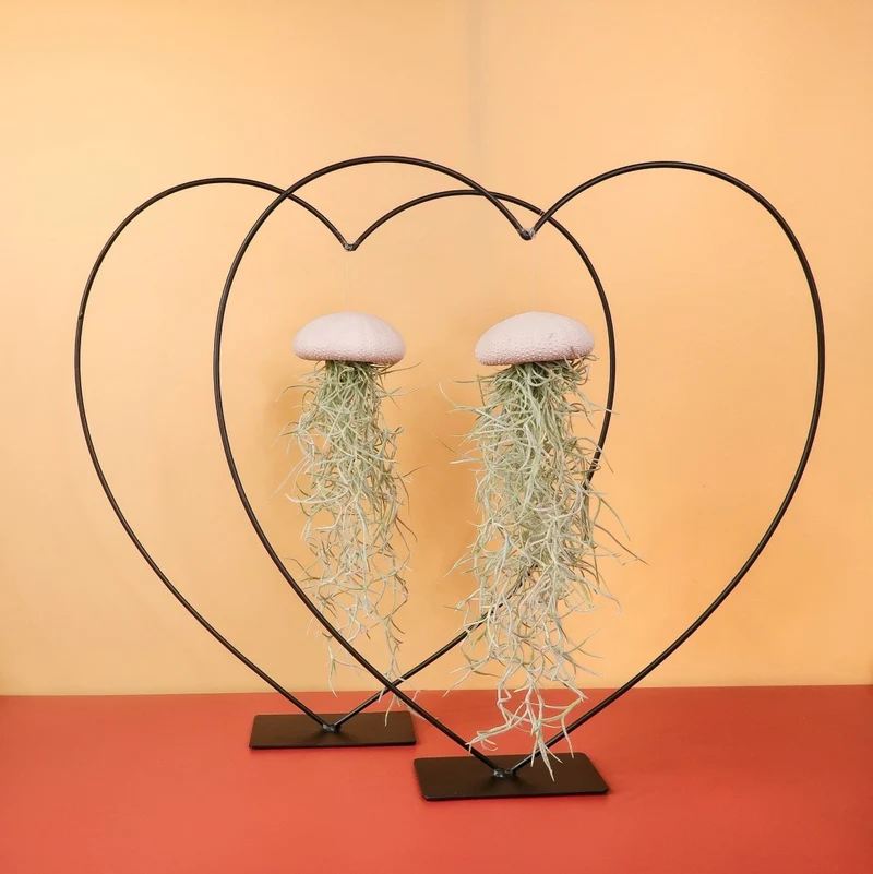 TILLANDSIA USNEOIDES - PEACH