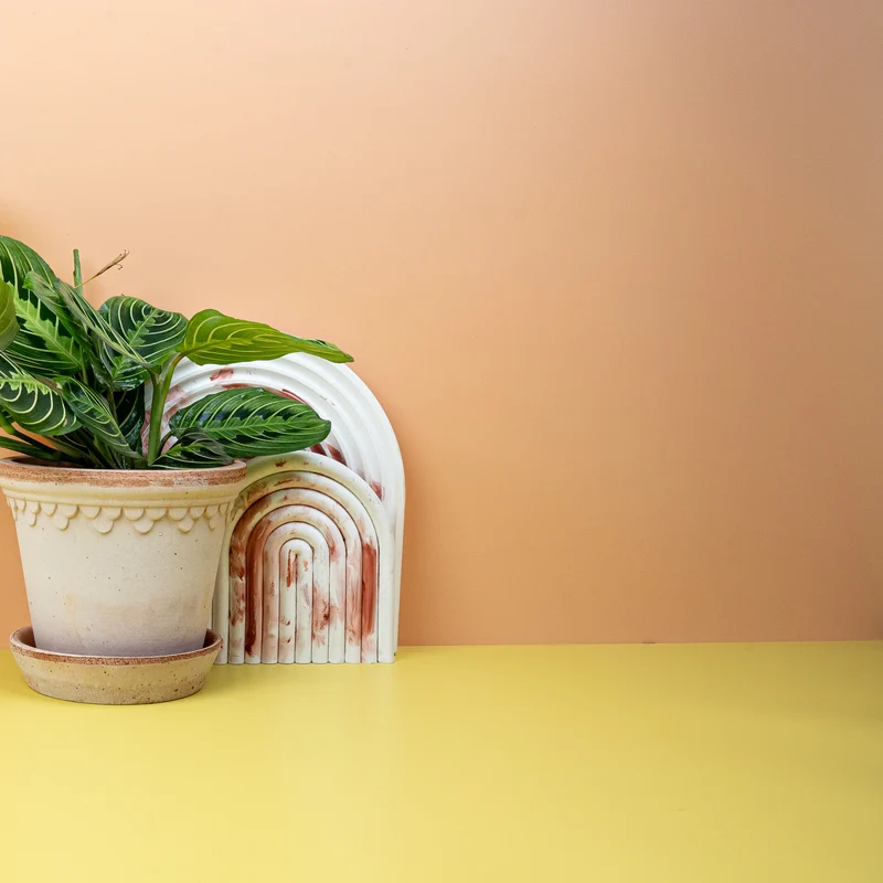 MARANTA LEMON LIME