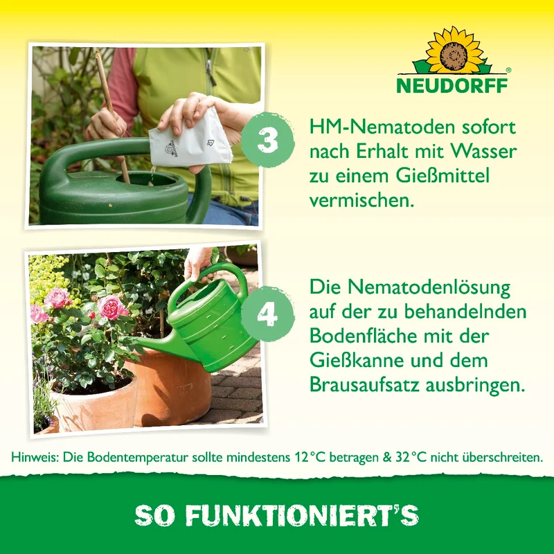 Nützlinge gegen Dickmaulrüssler