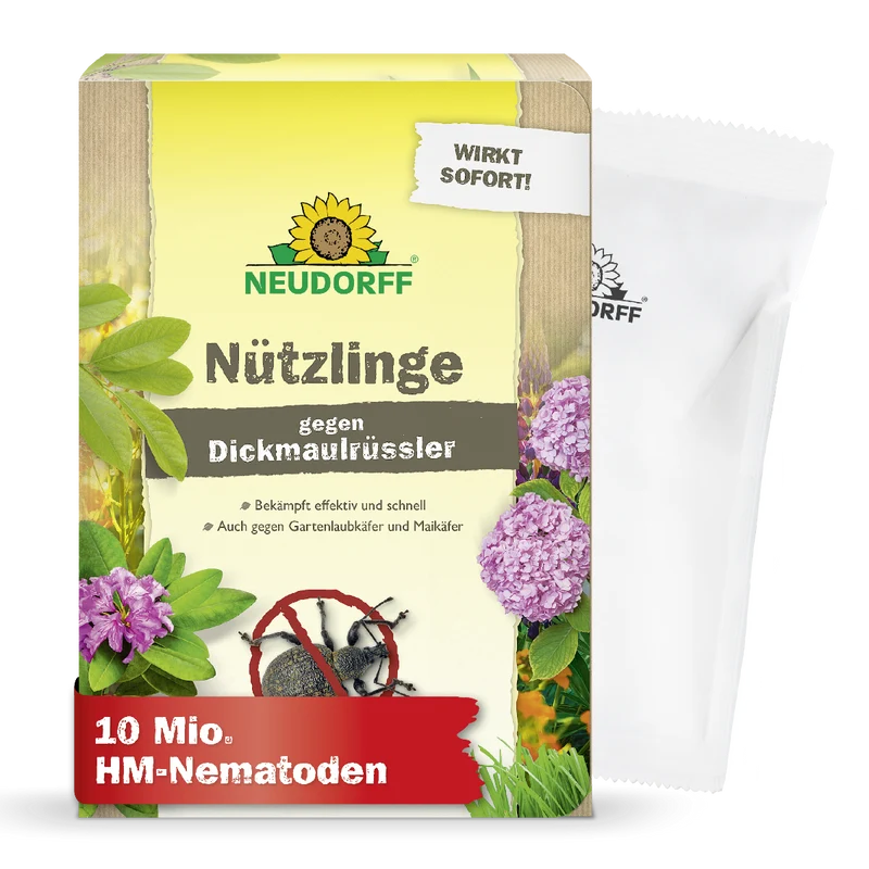 Nützlinge gegen Dickmaulrüssler