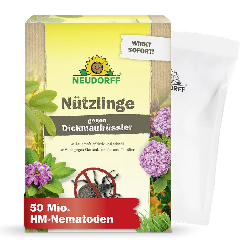 Nützlinge gegen Dickmaulrüssler