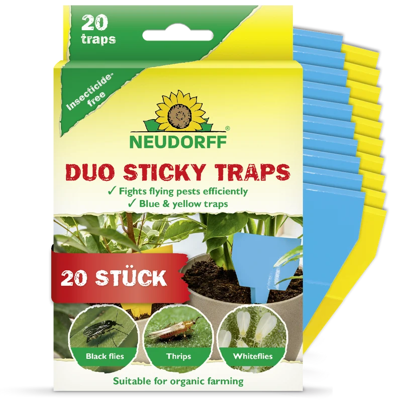 Duo Sticky Traps