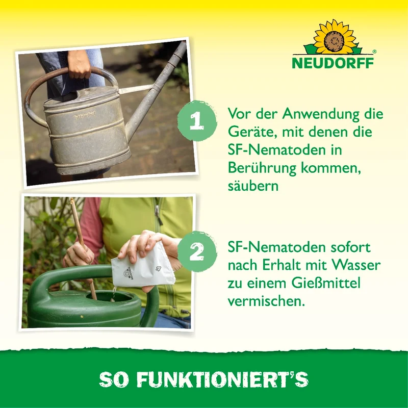Nützlinge gegen Ameisen