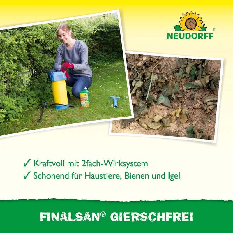 Finalsan GierschFrei