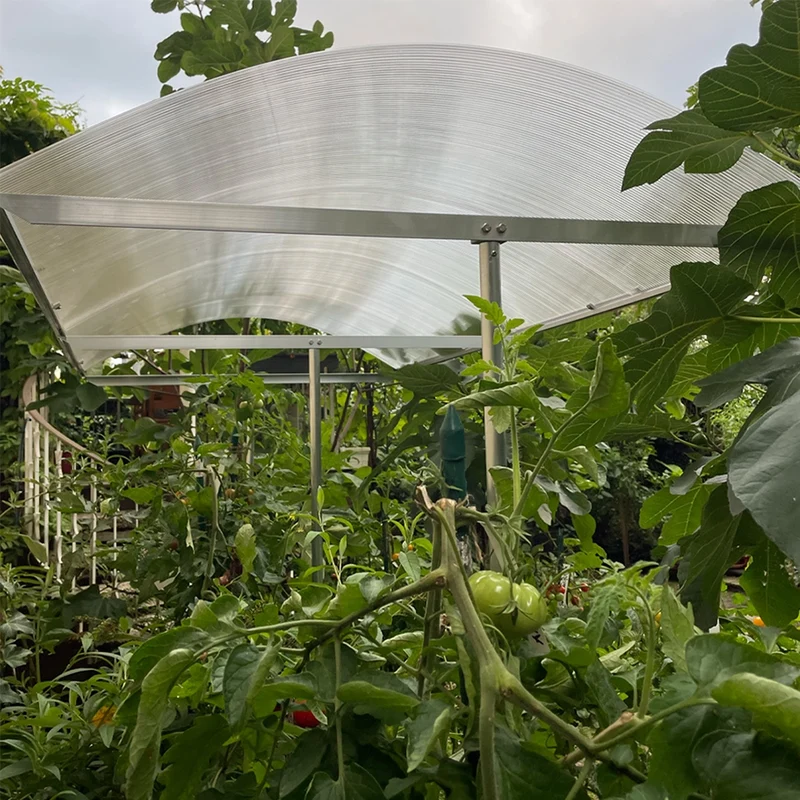 Schutzdach für deine Pflanzen 100-300 cm (Tomatendach) - Beckmann