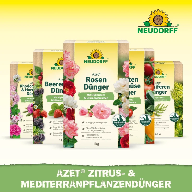 Azet Zitrus- & MediterranpflanzenDünger