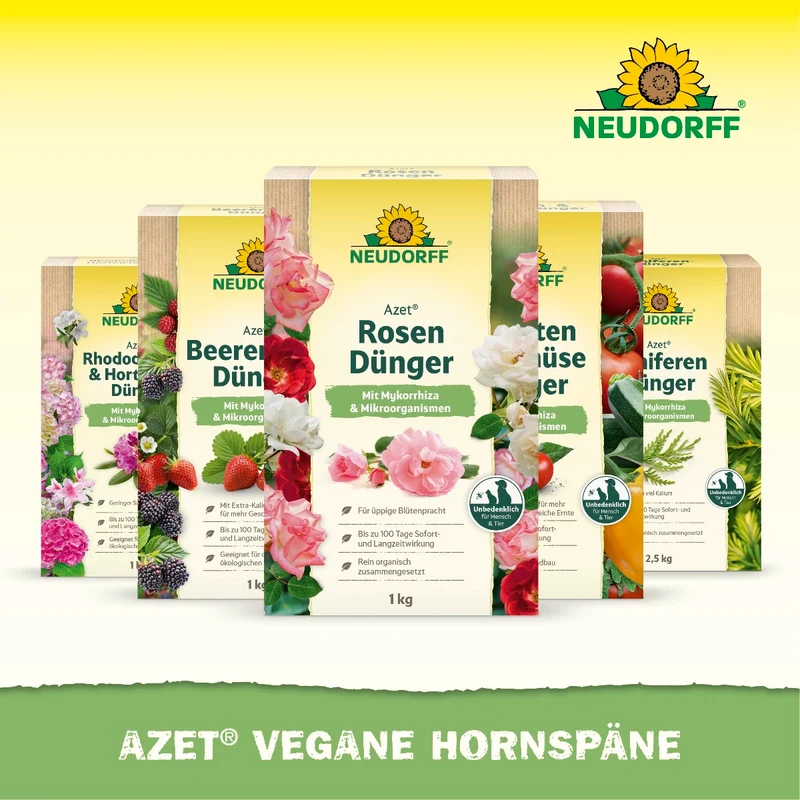 Azet Vegane Hornspäne