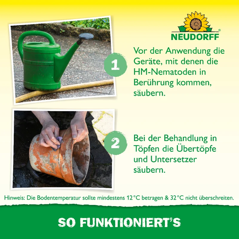Nützlinge gegen Dickmaulrüssler