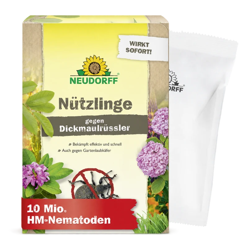 Nützlinge gegen Dickmaulrüssler