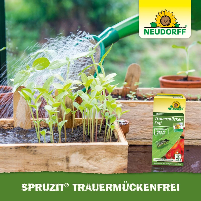 Spruzit TrauermückenFrei