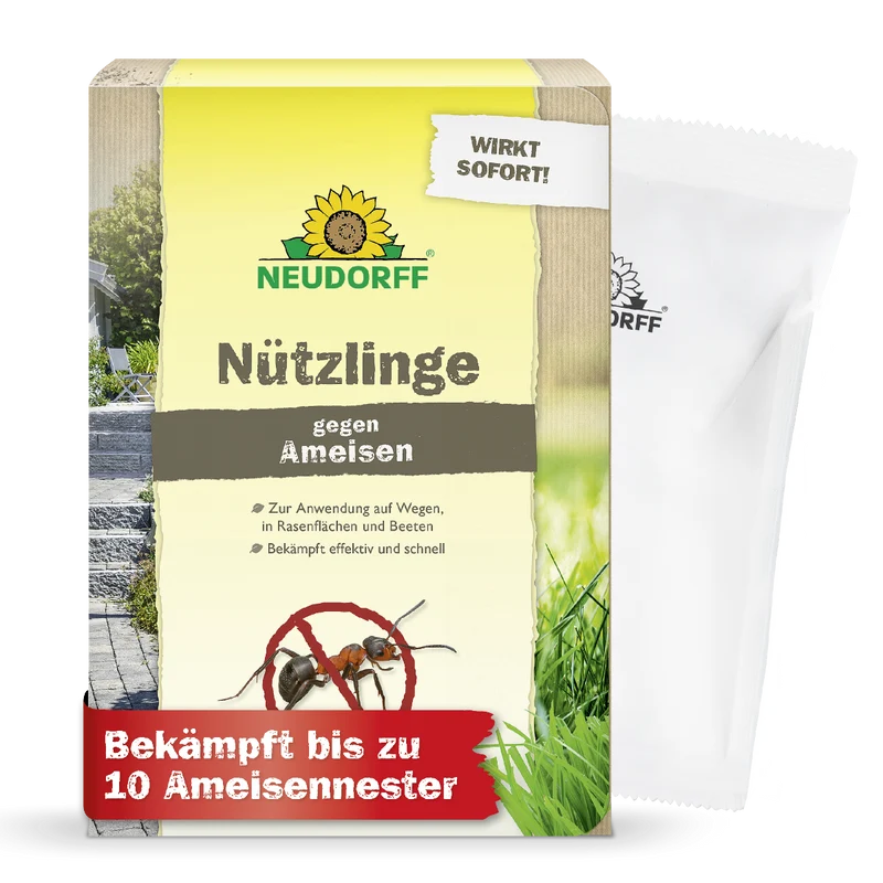 Nützlinge gegen Ameisen