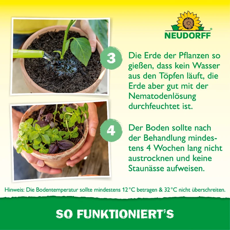 Nützlinge gegen Trauermücken