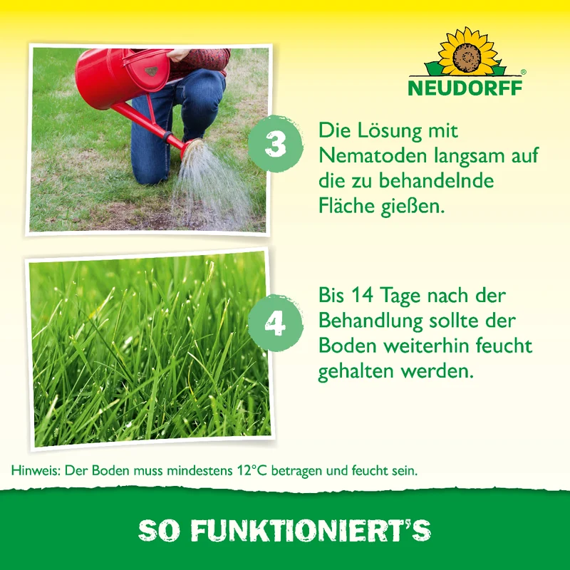 Nützlinge gegen Wiesenschnaken