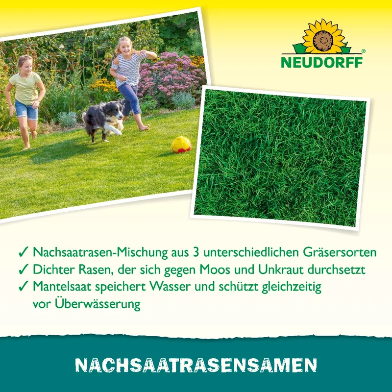 Nachsaat RasenSamen