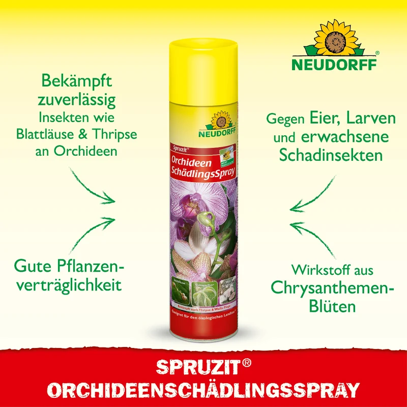 Spruzit OrchideenSchädlingsSpray
