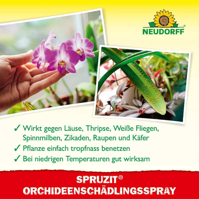 Spruzit OrchideenSchädlingsSpray