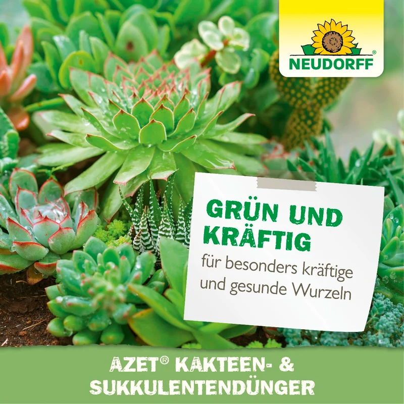 Azet Kakteen- & SukkulentenDünger flüssig