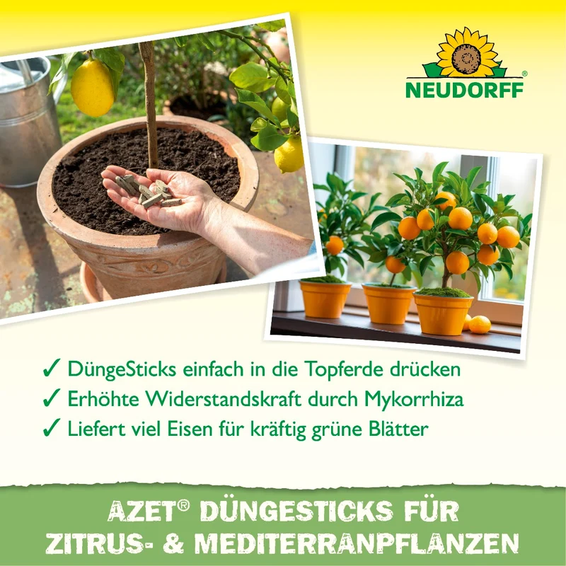 Azet Düngesticks für Zitrus- & Mediterranpflanzen