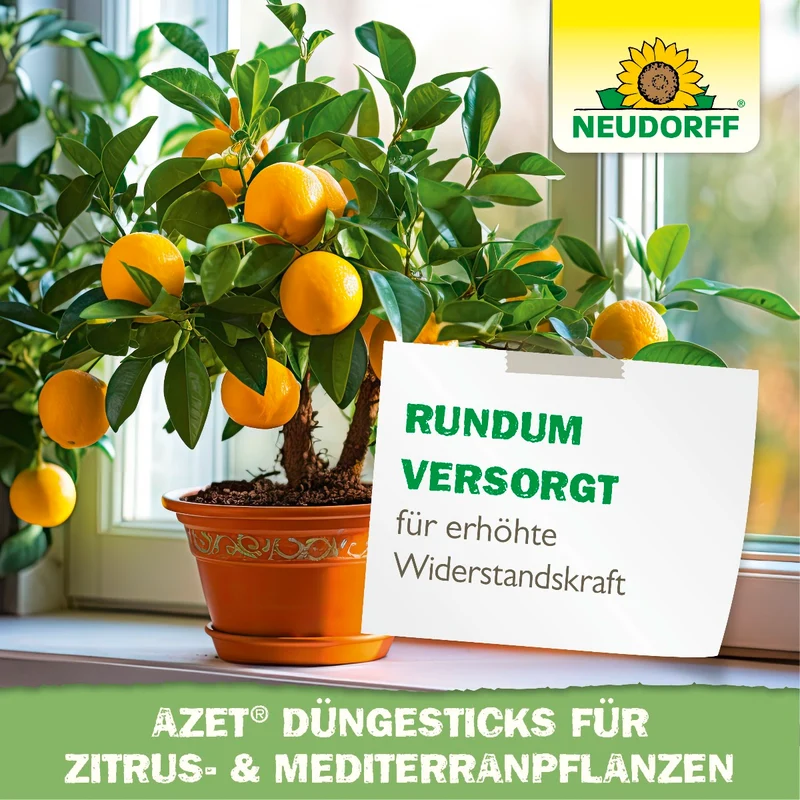 Azet Düngesticks für Zitrus- & Mediterranpflanzen