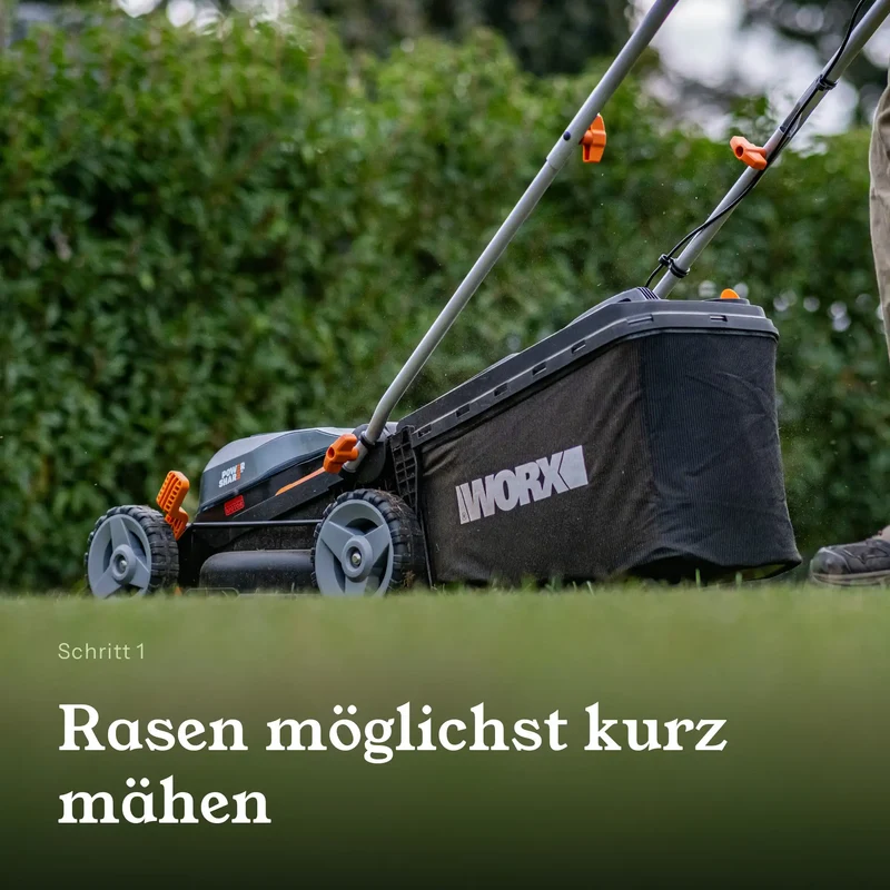 Rasen Vital Komplett Set – Substrat, Bodenaktivator & Rasensaatgut für 100 m²
