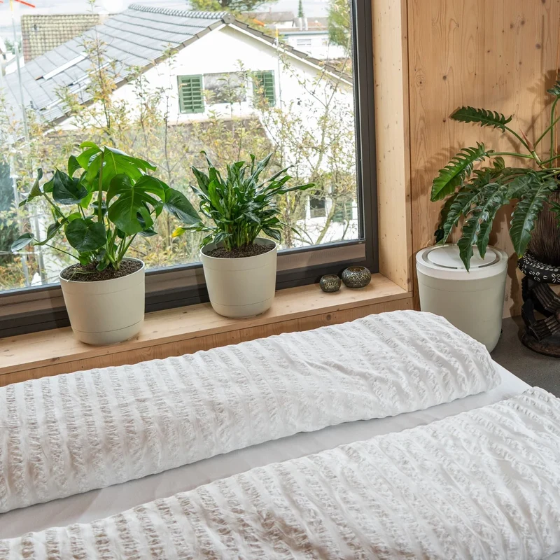 Boum Core Starterpaket - Smarte Topfbewässerung für Balkon & Terrasse