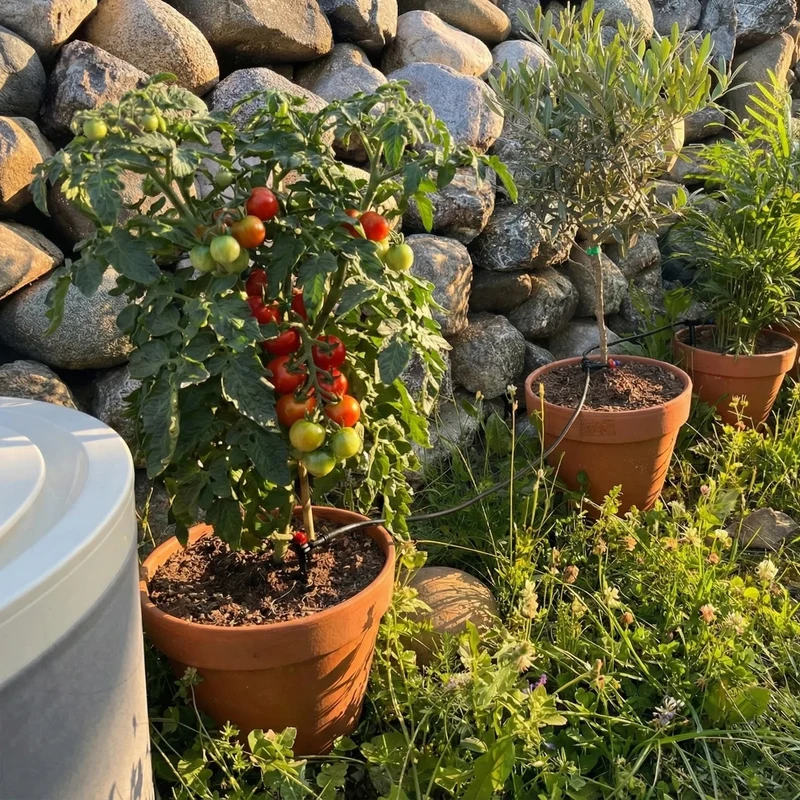 Boum Drip Starterpaket - Smarte Tröpfchenbewässerung für Balkon & Terrasse