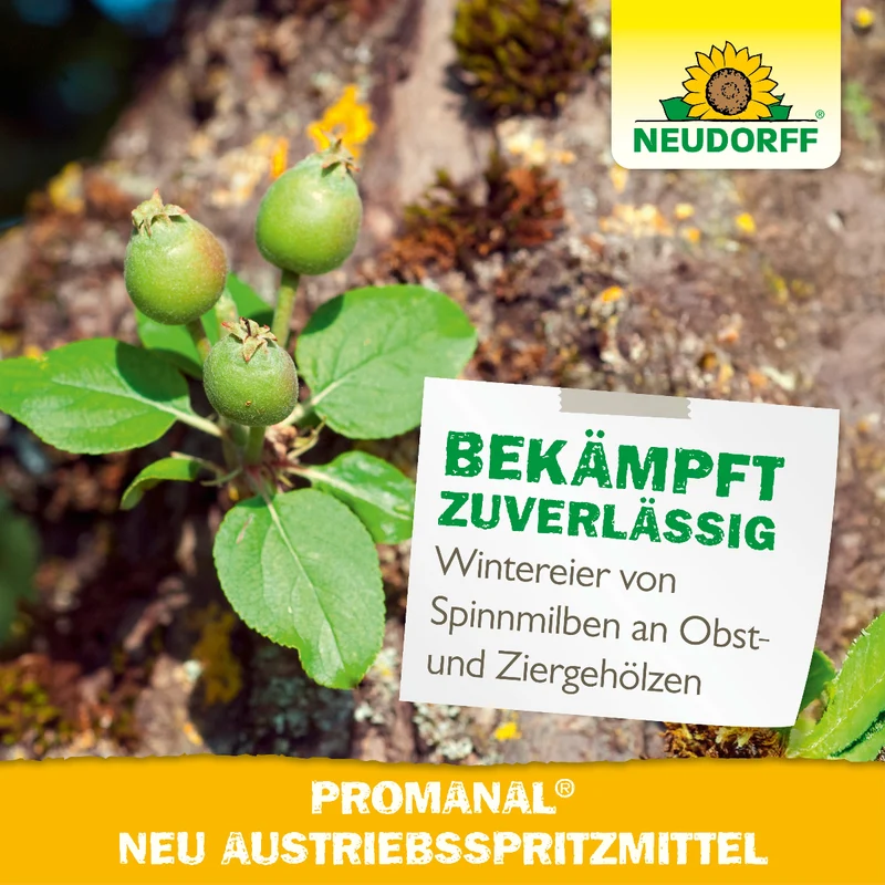 Promanal Austriebsspritzmittel