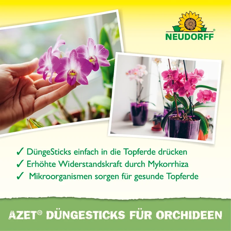 Azet Düngesticks für Orchideen
