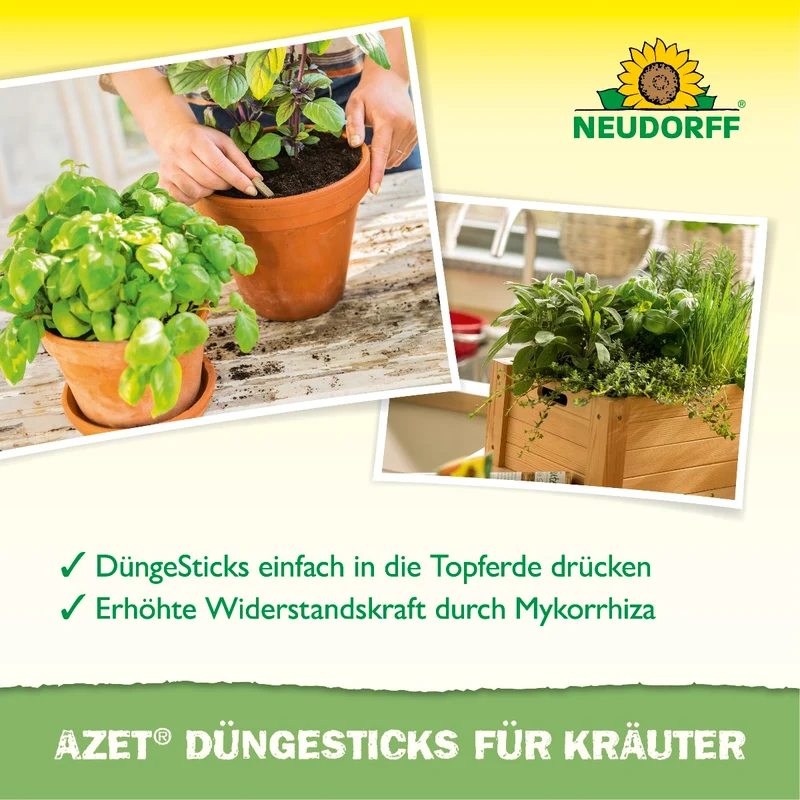 Azet Düngesticks für Kräuter
