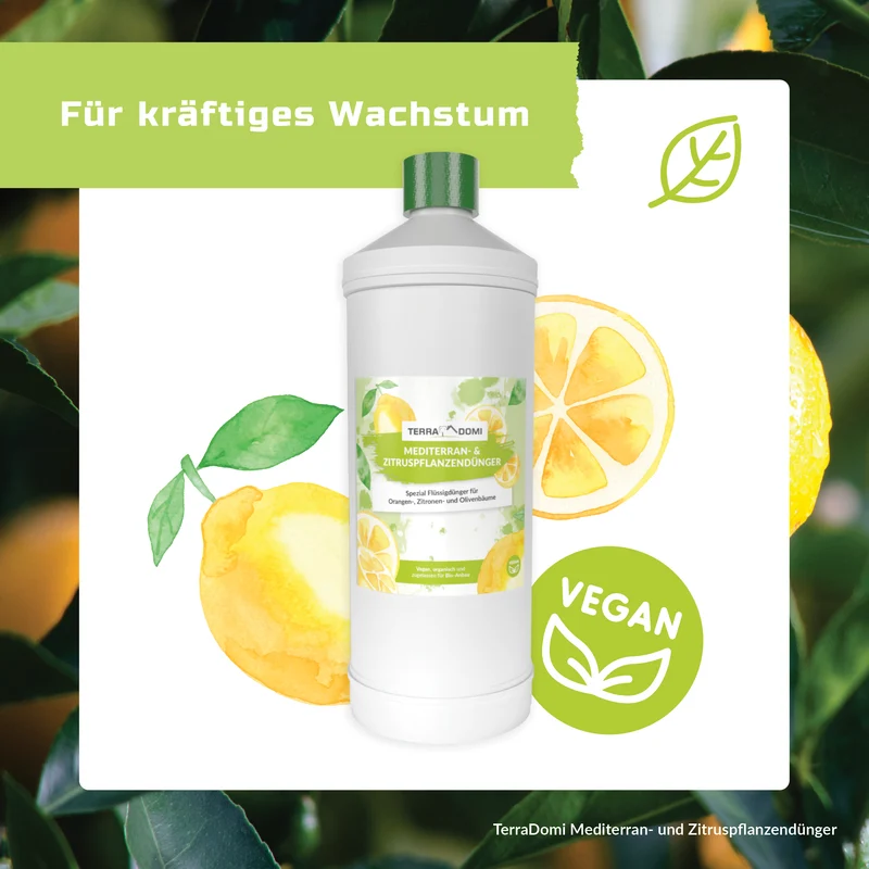 TerraDomi Mediterran- & Zitruspflanzendünger 1 Liter Flüssigdünger Konzentrat