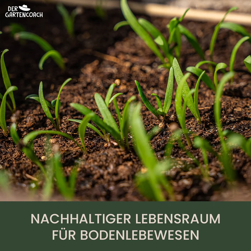 Gartencoach Bodenaktivator 5 kg – Für gesunden Boden & kräftige Pflanzen
