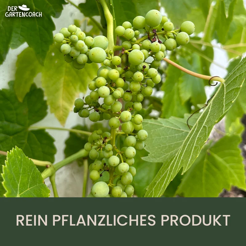 Gartencoach Bodenaktivator 5 kg – Für gesunden Boden & kräftige Pflanzen