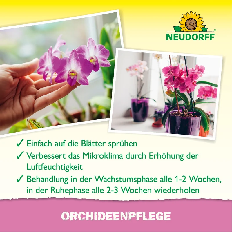 OrchideenPflege
