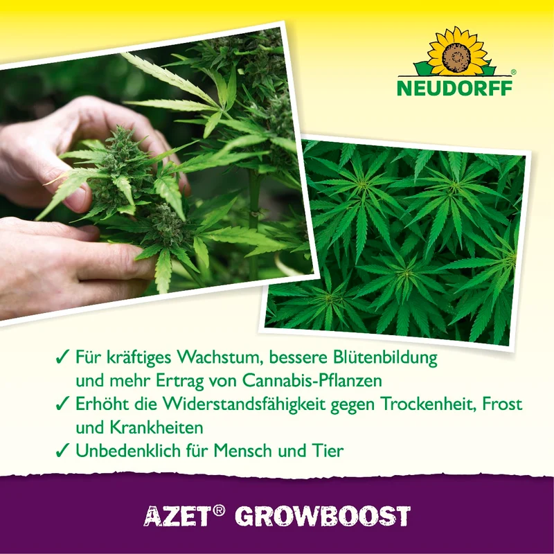 GrowBoost