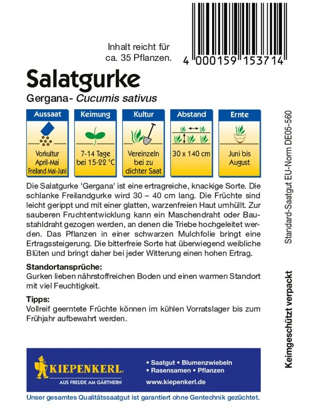 Salatgurke Gergana