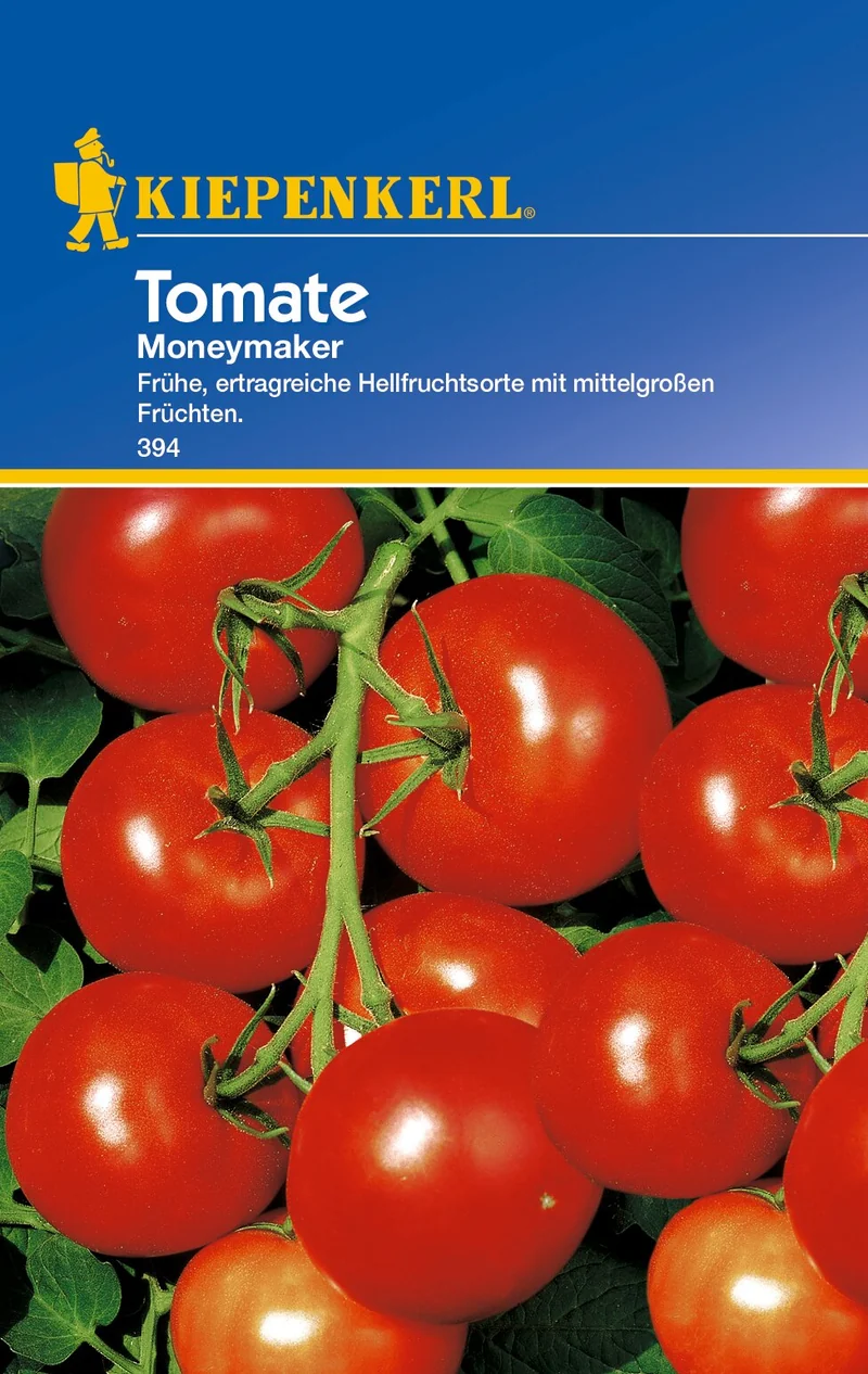 Salat-Tomatensamen Moneymaker