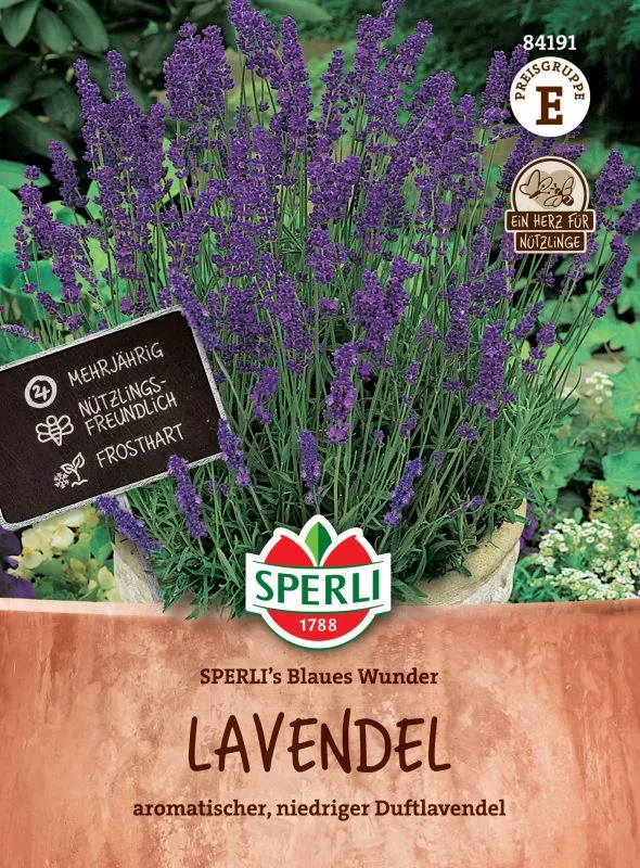 Lavendel SPERLI's Blaues Wunder