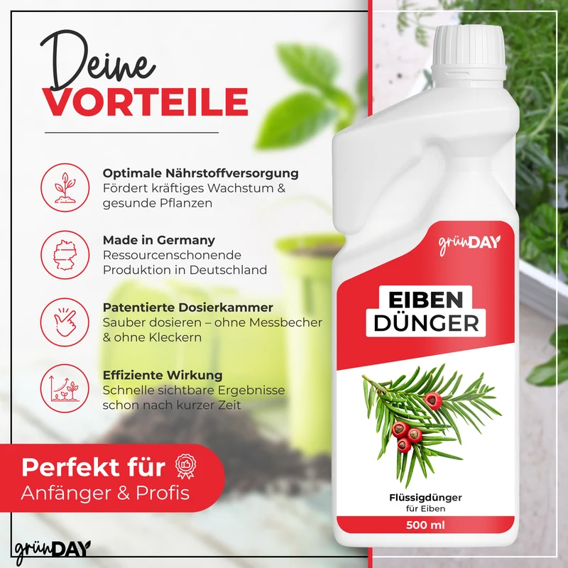 Eiben-Flüssigdünger 500 ml
