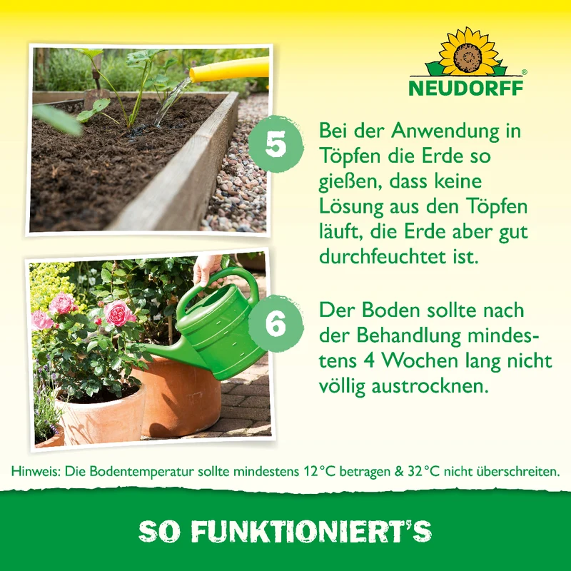 Nützlinge gegen Dickmaulrüssler